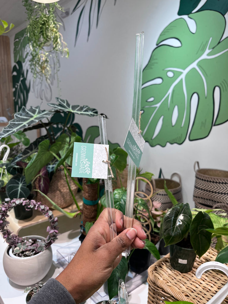Clear Rod Set Indoor Plant Trellis