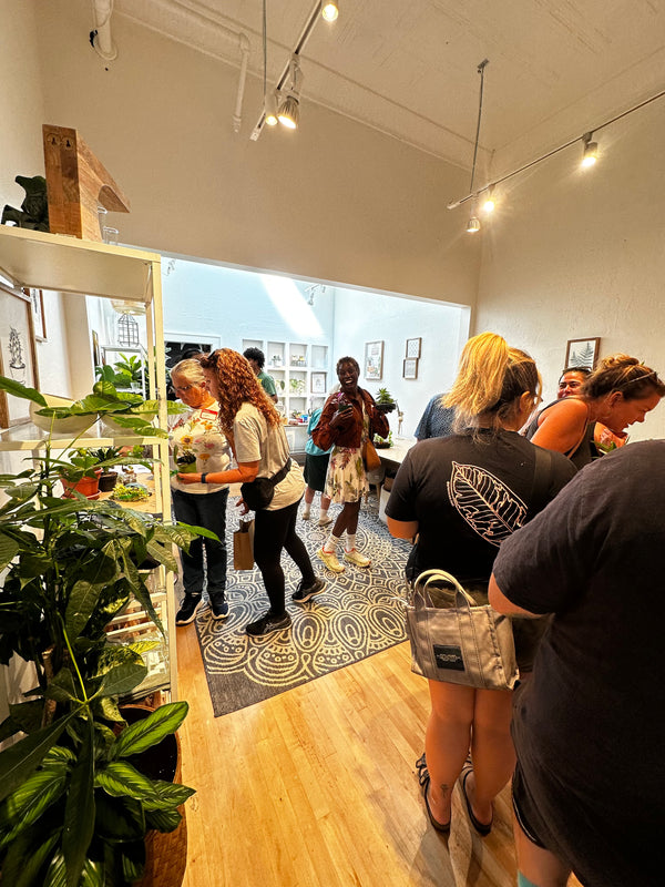 PLANT SWAP NOV-01