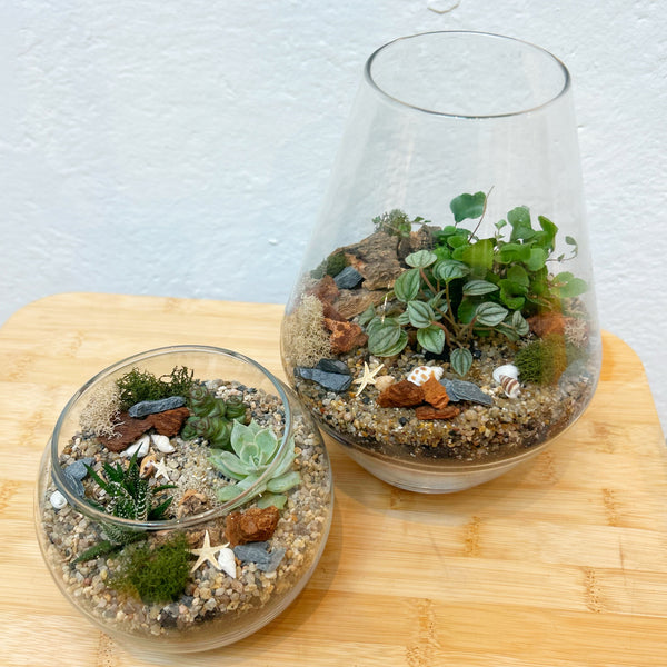 Walk-In Mini Terrarium Workshop SEP-12