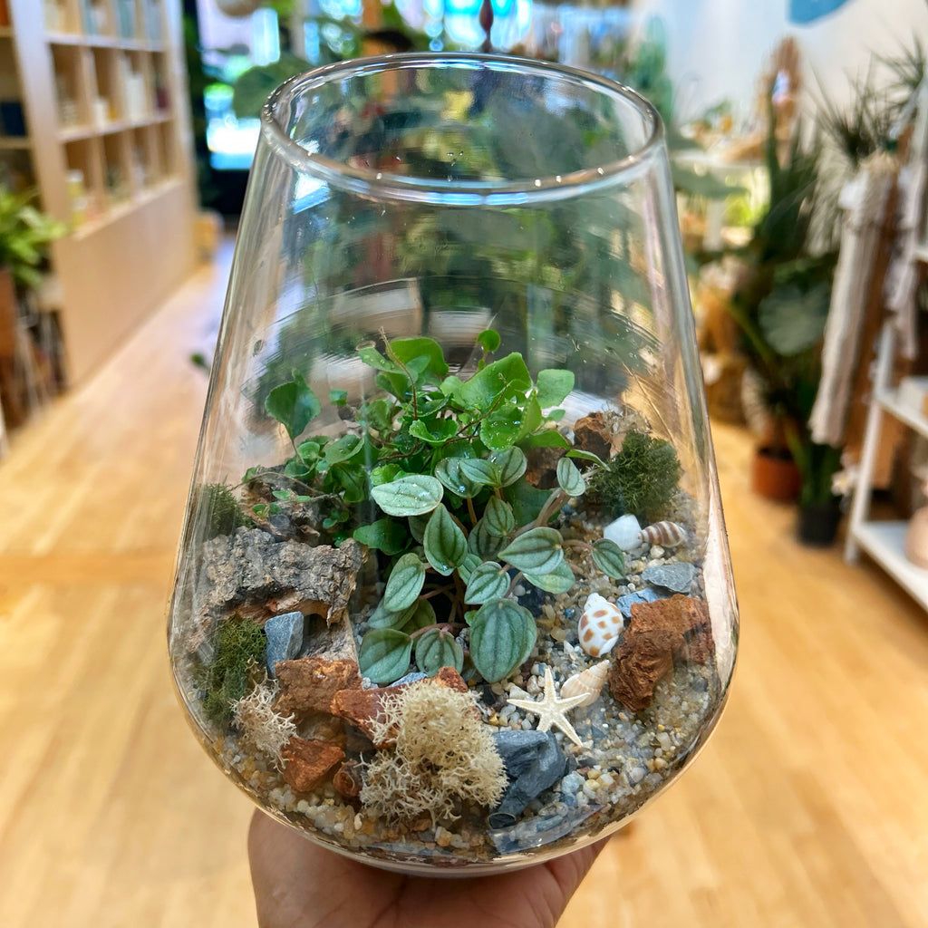 Walk-In Mini Terrarium Workshop Oct-04