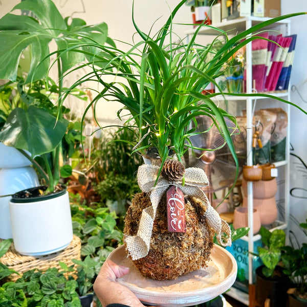 Kokedama Workshop DEC-19