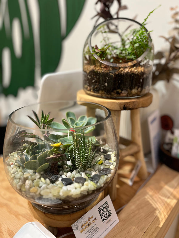 Terrarium Workshop JAN-10