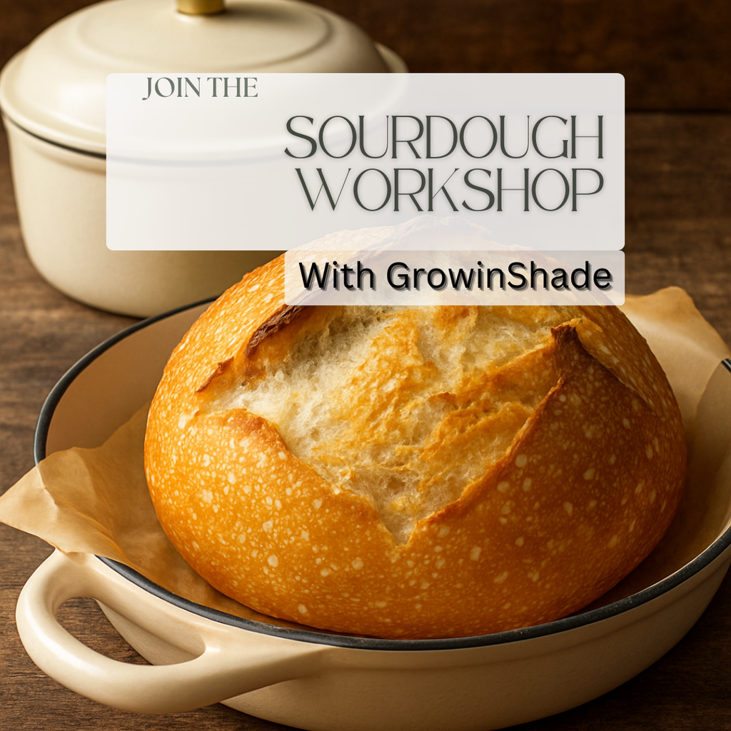 Sourdough Workshop JAN-18