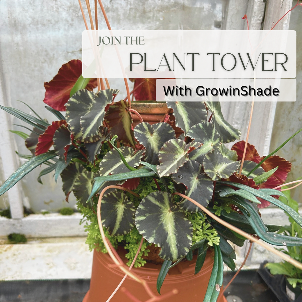 Plant Tower October-09