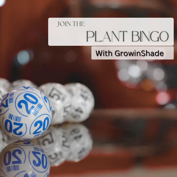 Plant Bingo NOV-06  “1940’s Brewing Company