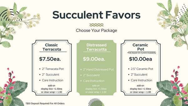 Succulent Arrangment