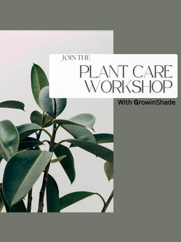 Plant Care Workshop FEB-08