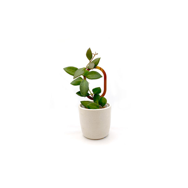Mini Oval Indoor Plant Trellis