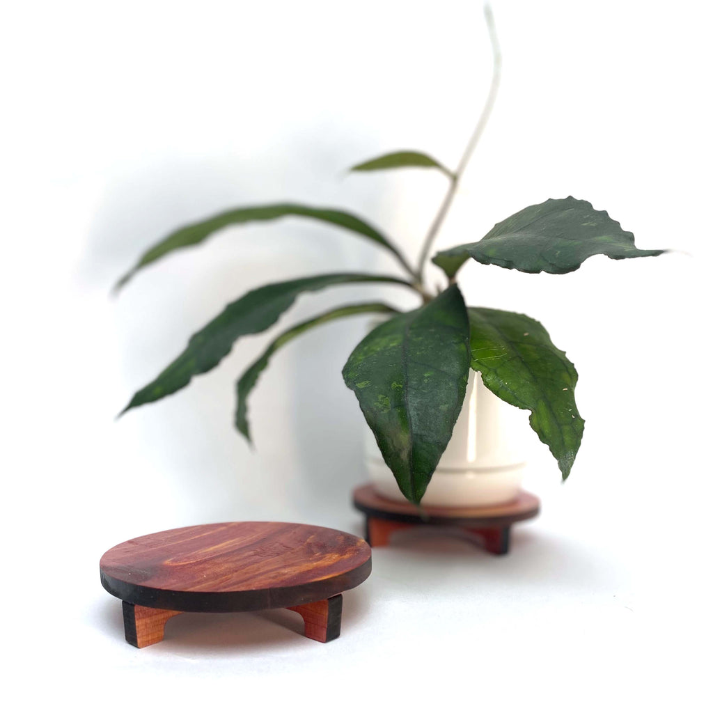 plant pot riser Round Cedar Pot Riser – growinshade