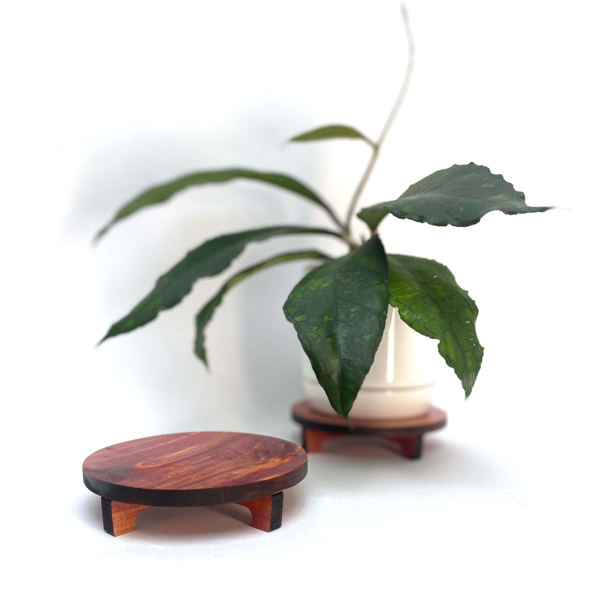 Round Cedar Pot Riser – growinshade